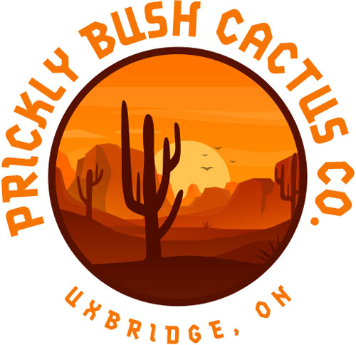 Prickly Bush Cactus Co.