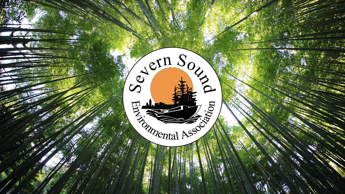 Severn Sound Environmental Association